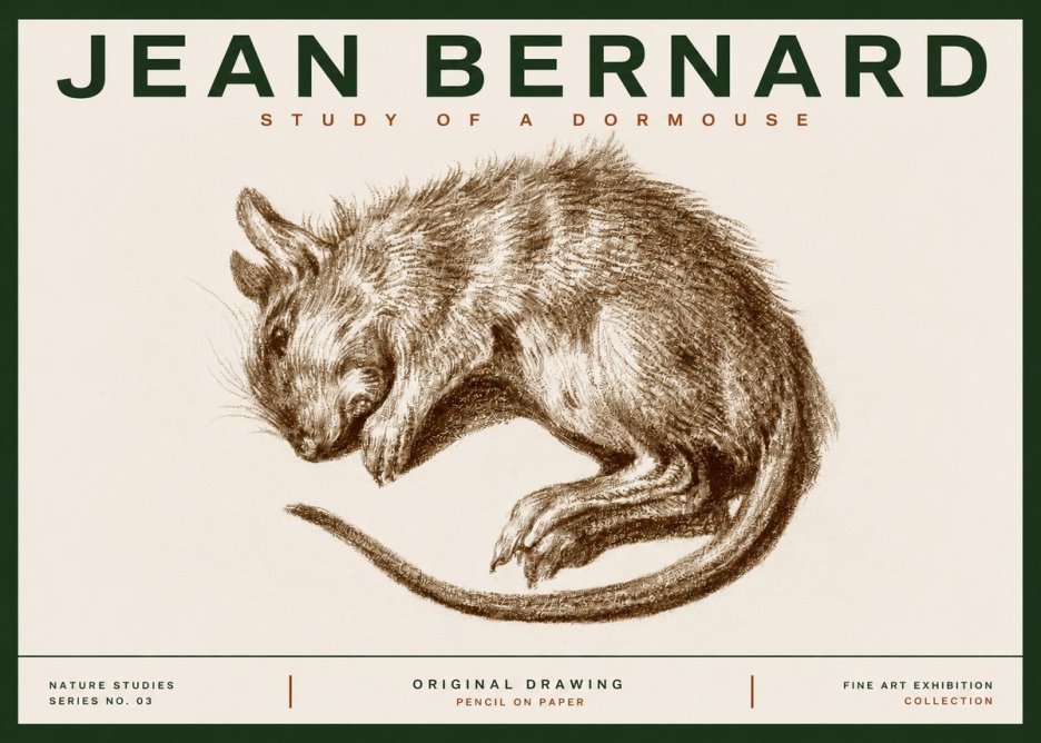 Jean Bernard Study of a Dormouse No3 - Póster
