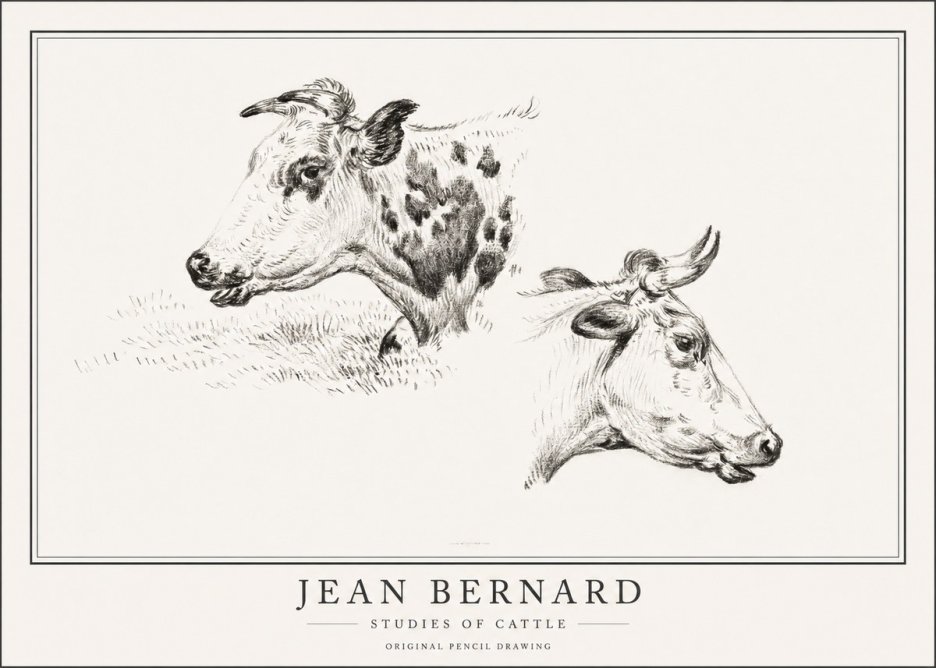 Jean Bernard Studies of Cattle I No1 - Póster