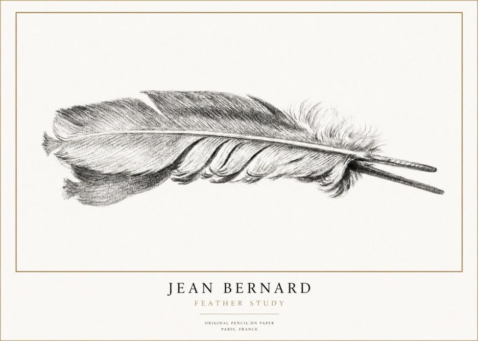 Jean Bernard Feather No3 - Póster