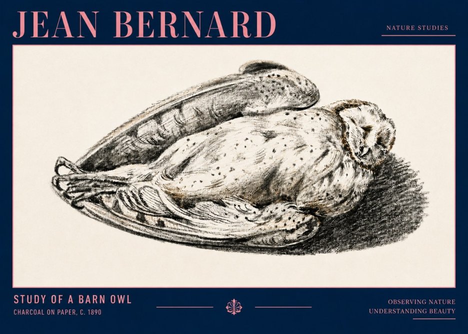 Jean Bernard Sleeping Owl No4 - Póster