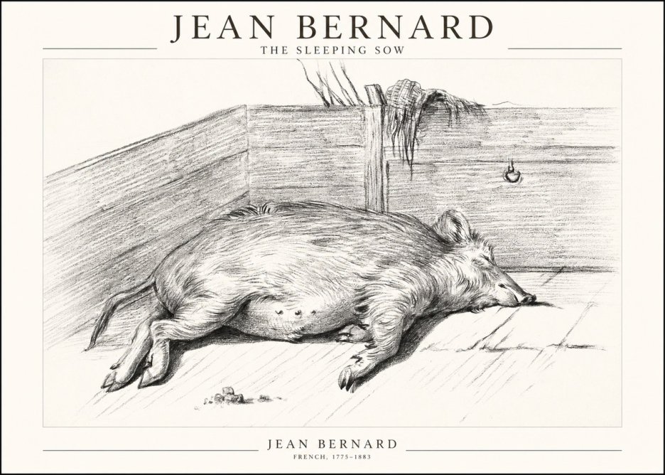 Jean Bernard The Sleeping Sow No1 - Póster