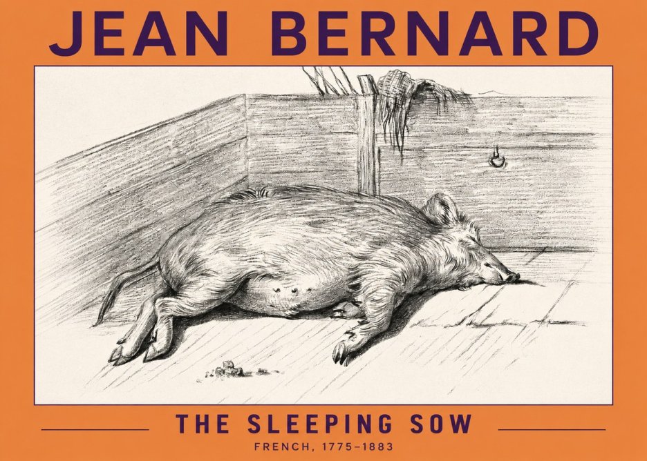 Jean Bernard The Sleeping Sow No2 - Póster