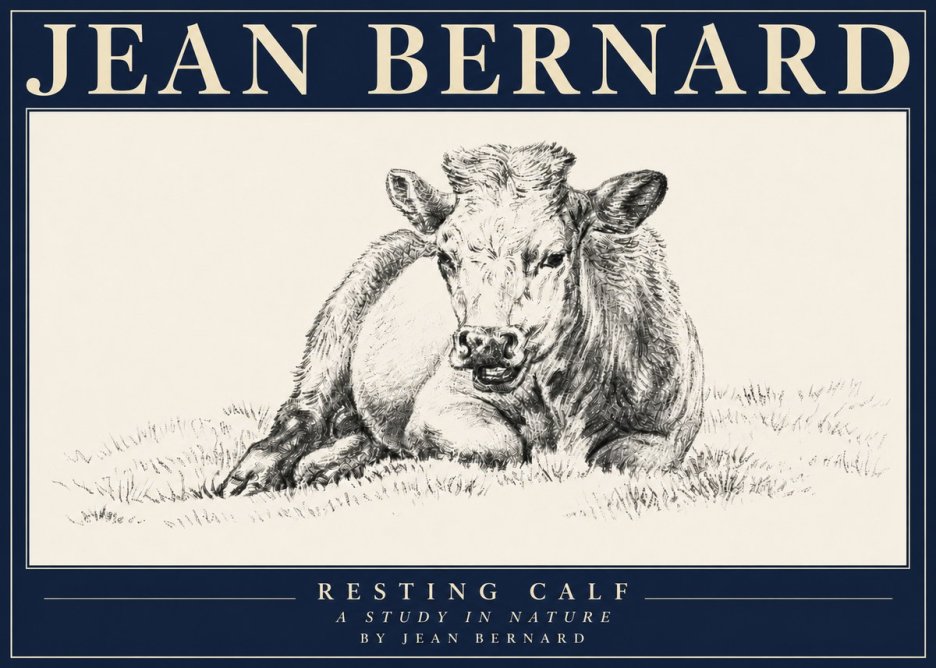 Jean Bernard Resting Calf I No4 - Póster