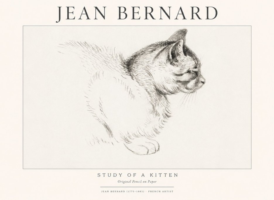Jean Bernard Study of a Kitten II No1 - Póster