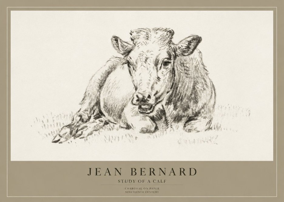Jean Bernard Resting Calf II No4 - Póster