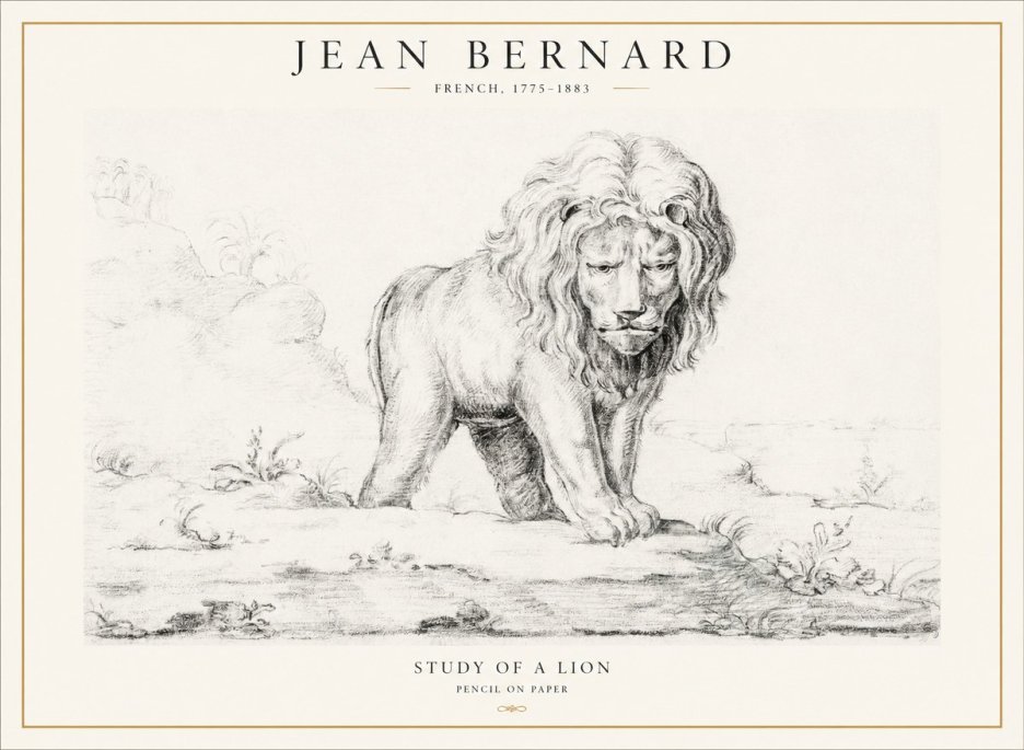 Jean Bernard Study of a Lion I No4 - Póster