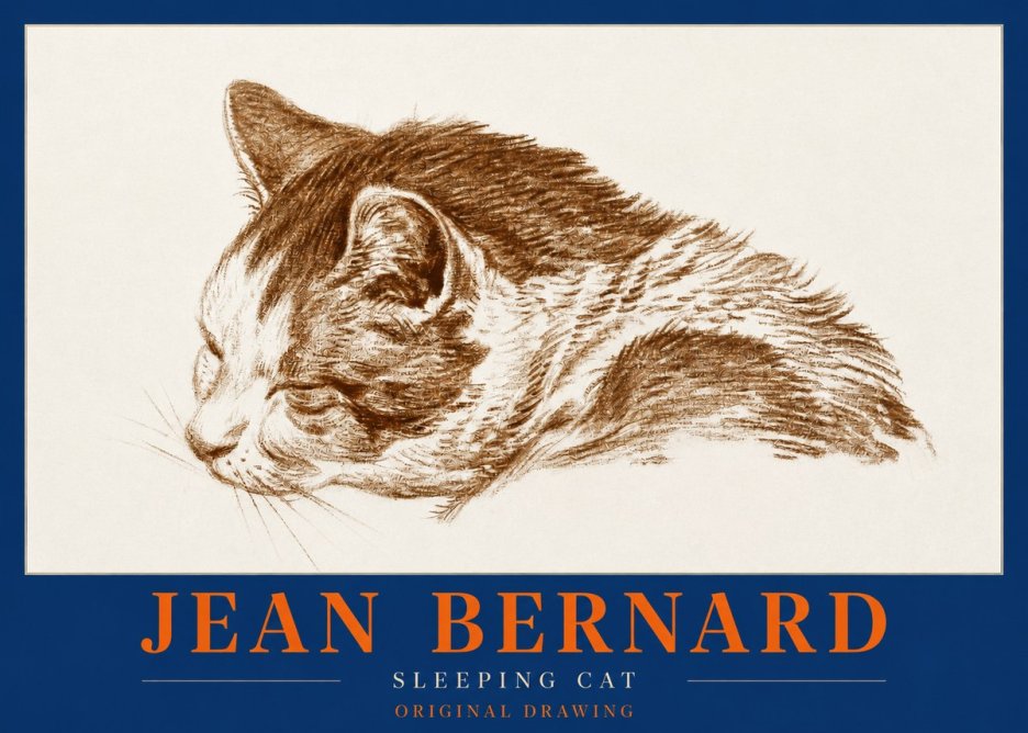 Jean Bernard Sleeping Cat II No2 - Póster