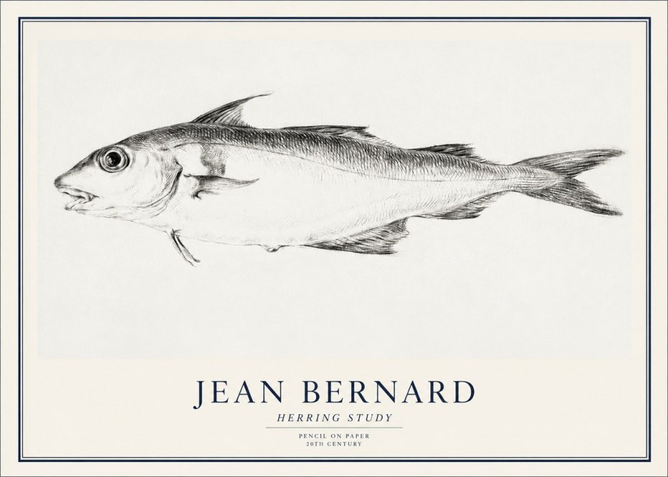 Jean Bernard Herring Study No1 - Póster