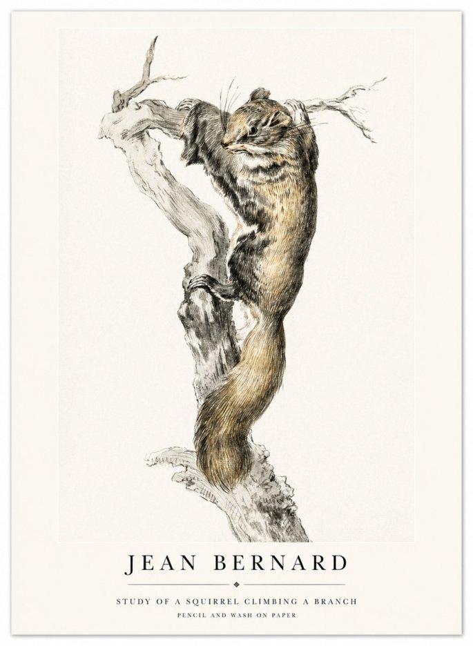Jean Bernard Study of a Squirrel Climbing a Branch No1 - Póster