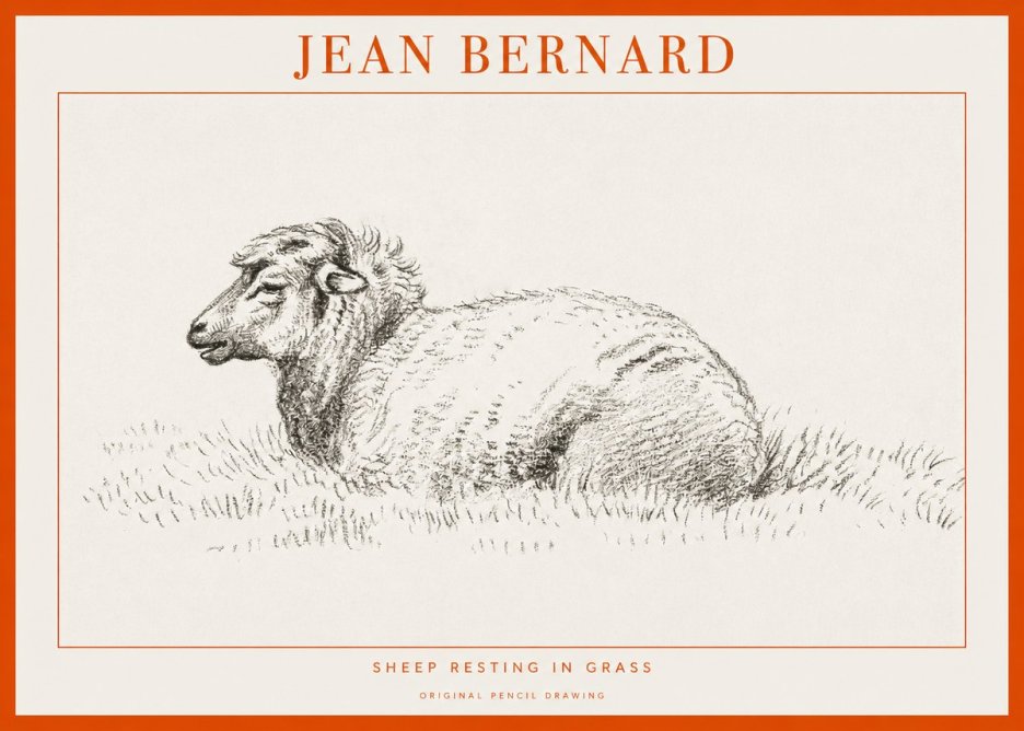 Jean Bernard Sheep Resting in Grass No1 - Póster