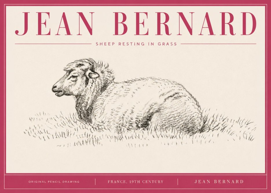 Jean Bernard Sheep Resting in Grass No4 - Póster