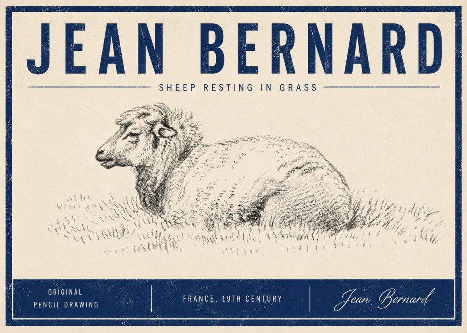 Jean Bernard Sheep Resting in Grass No5 - Póster