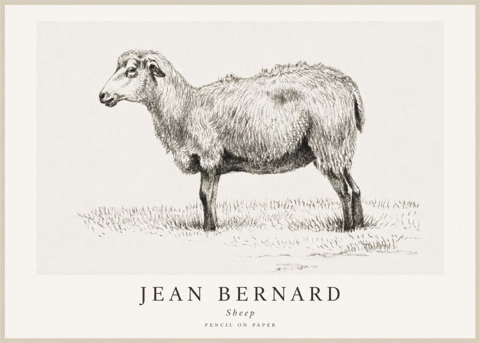 Jean Bernard Sheep No1 - Póster