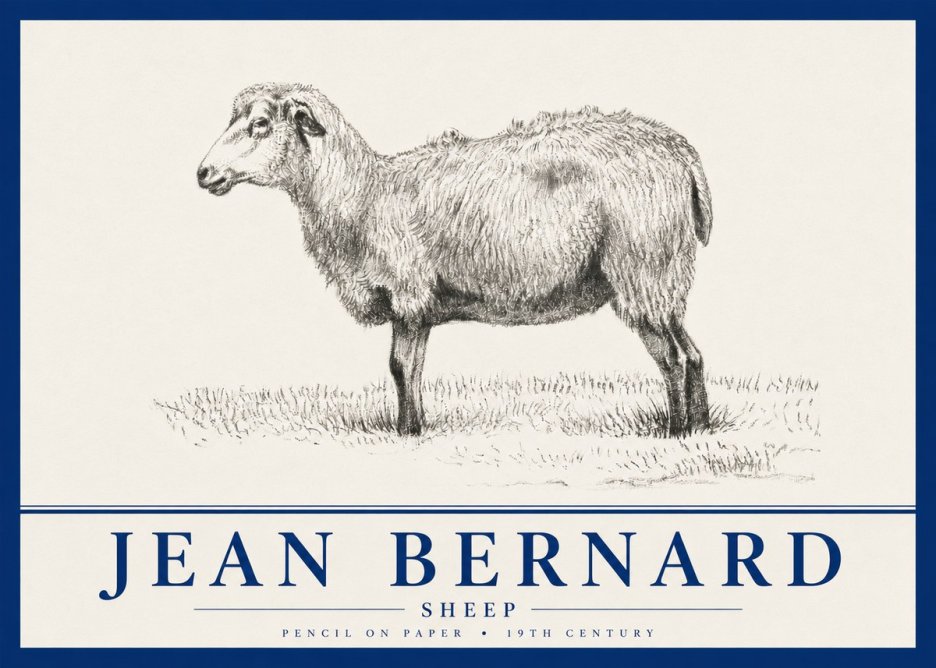 Jean Bernard Sheep No4 - Póster