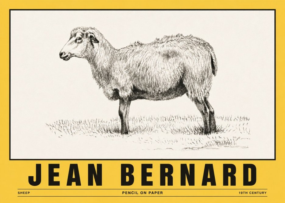 Jean Bernard Sheep No5 - Póster