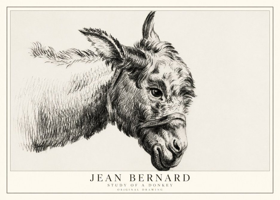 Jean Bernard Study of a Donkey I No1 - Póster