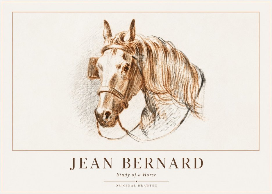 Jean Bernard Study of a Horse V No1 - Póster