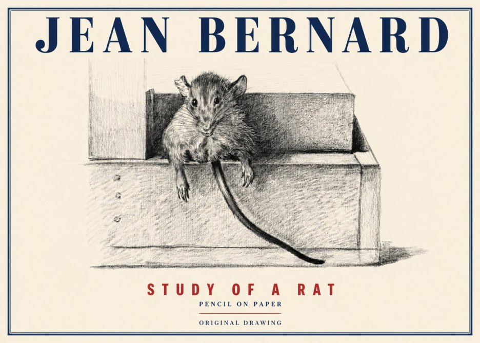 Jean Bernard Study of a Rat I No4 - Póster
