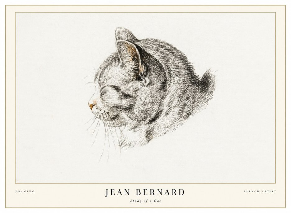 Jean Bernard Study of a Cat I No1 - Póster