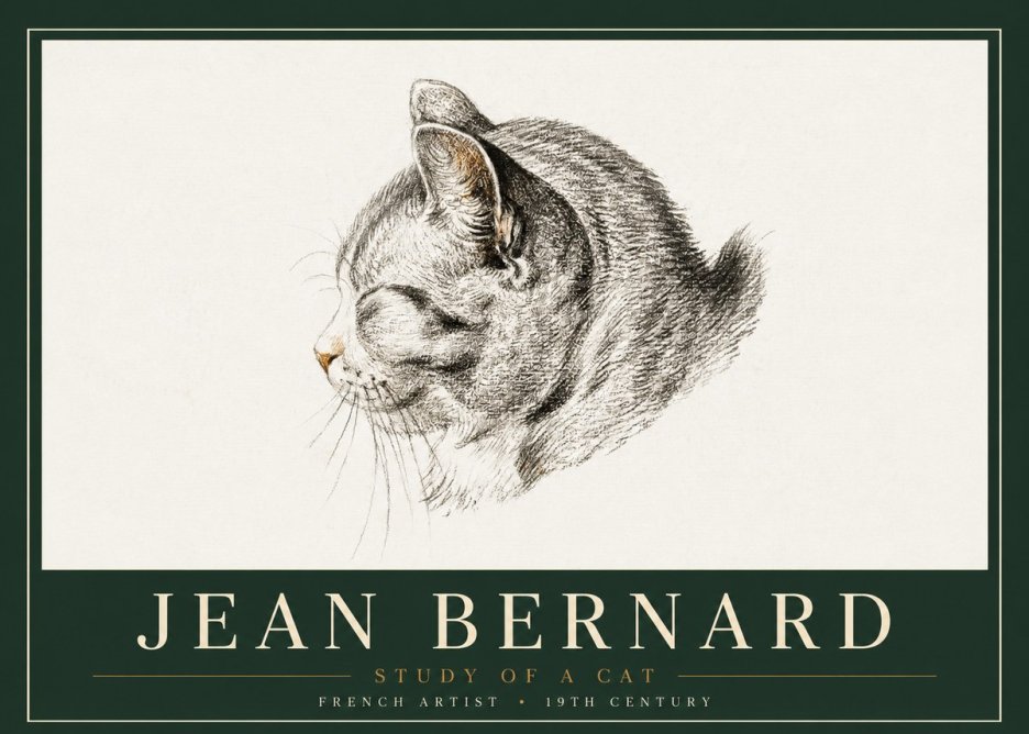 Jean Bernard Study of a Cat I No4 - Póster