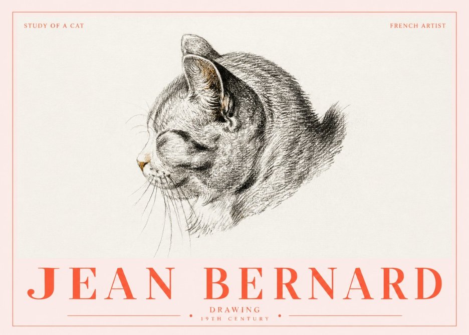 Jean Bernard Study of a Cat I No5 - Póster