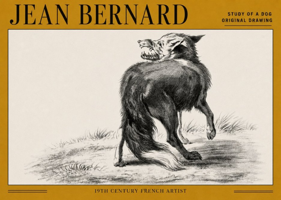 Jean Bernard Study of a Dog II No5 - Póster