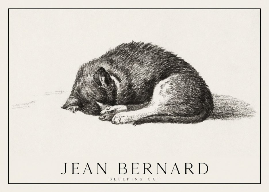 Jean Bernard Sleeping Cat III No1 - Póster