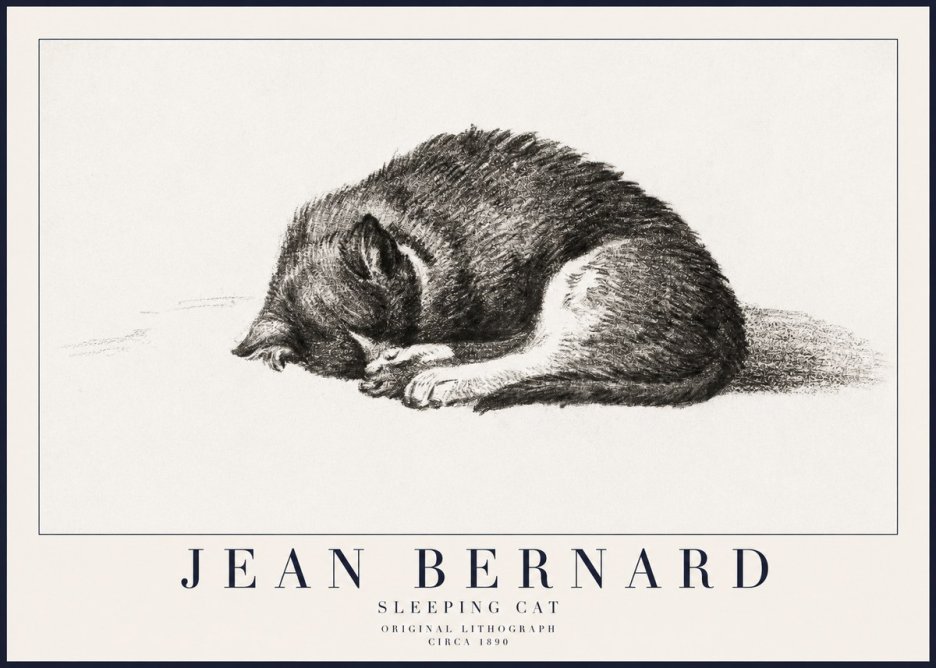 Jean Bernard Sleeping Cat III No6 - Póster