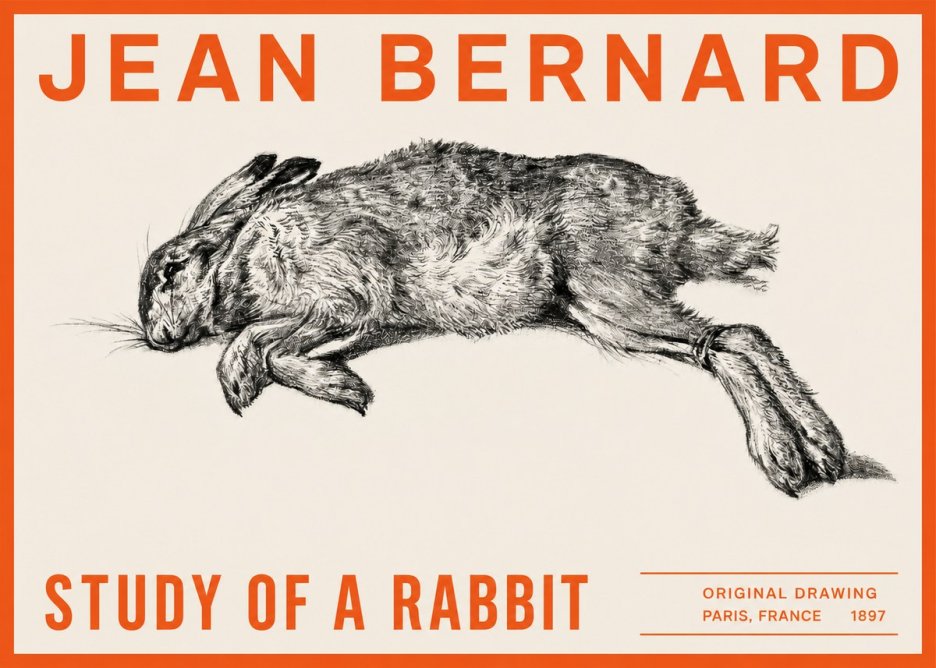 Jean Bernard Study of a Rabbit No2 - Póster