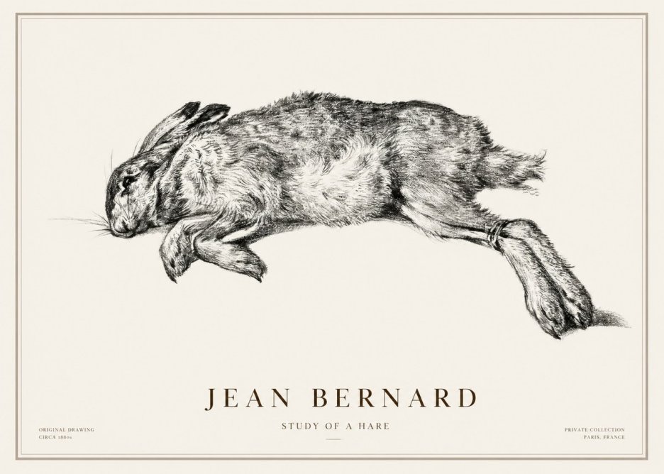 Jean Bernard Study of a Rabbit No3 - Póster