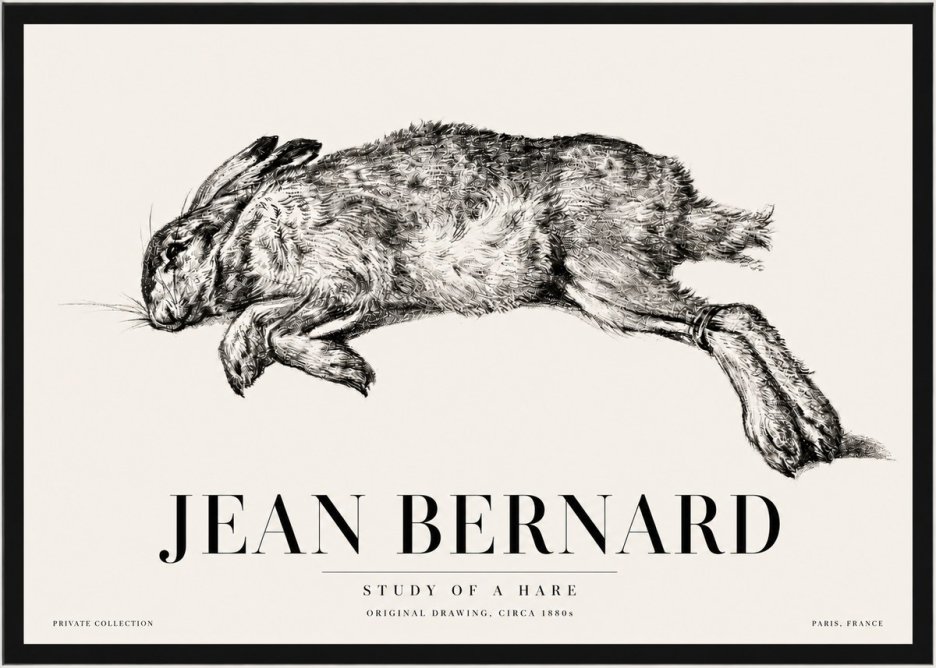 Jean Bernard Study of a Rabbit No5 - Póster