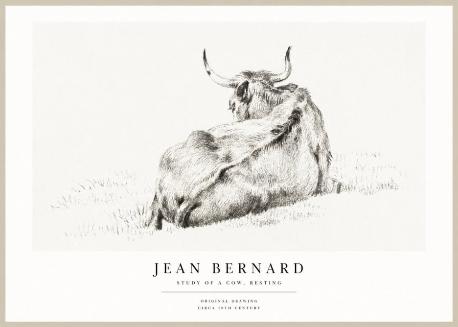 Jean Bernard Resting Bovine - Study in Graphite No2 - Póster