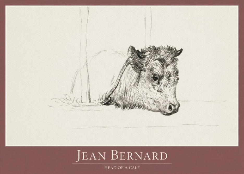 Jean Bernard Study of a Calf I No2 - Póster