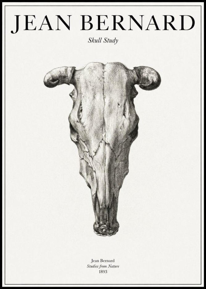 Jean Bernard Skull Study No1 - Póster
