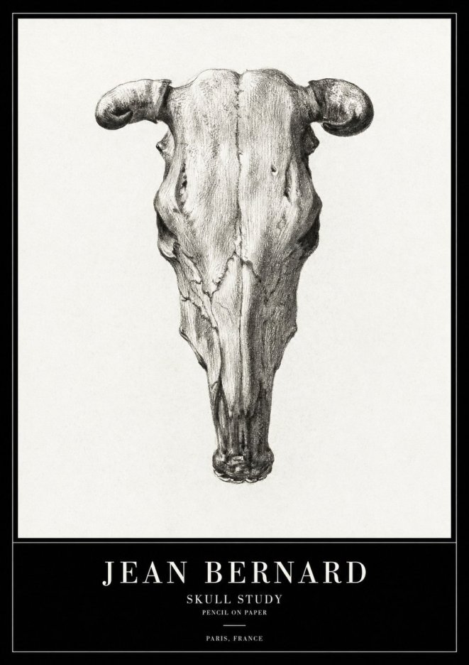 Jean Bernard Skull Study No2 - Póster
