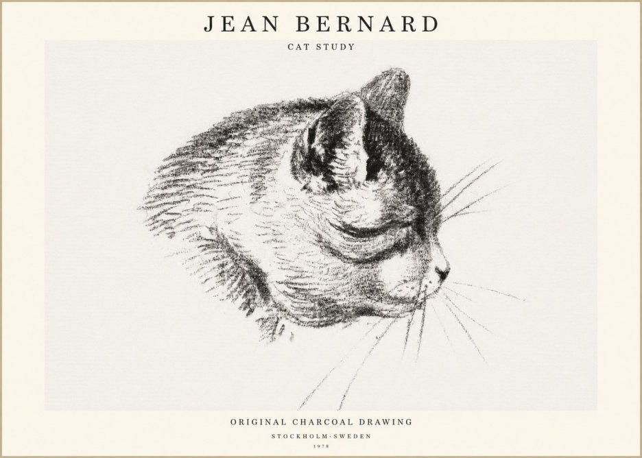 Jean Bernard Cat Study IV No1 - Póster