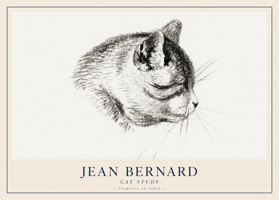 Jean Bernard Cat Study IV No2 - Póster