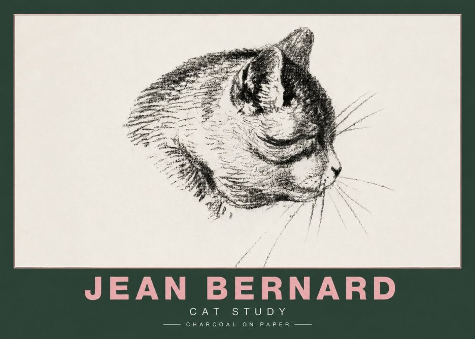 Jean Bernard Cat Study IV No4 - Póster