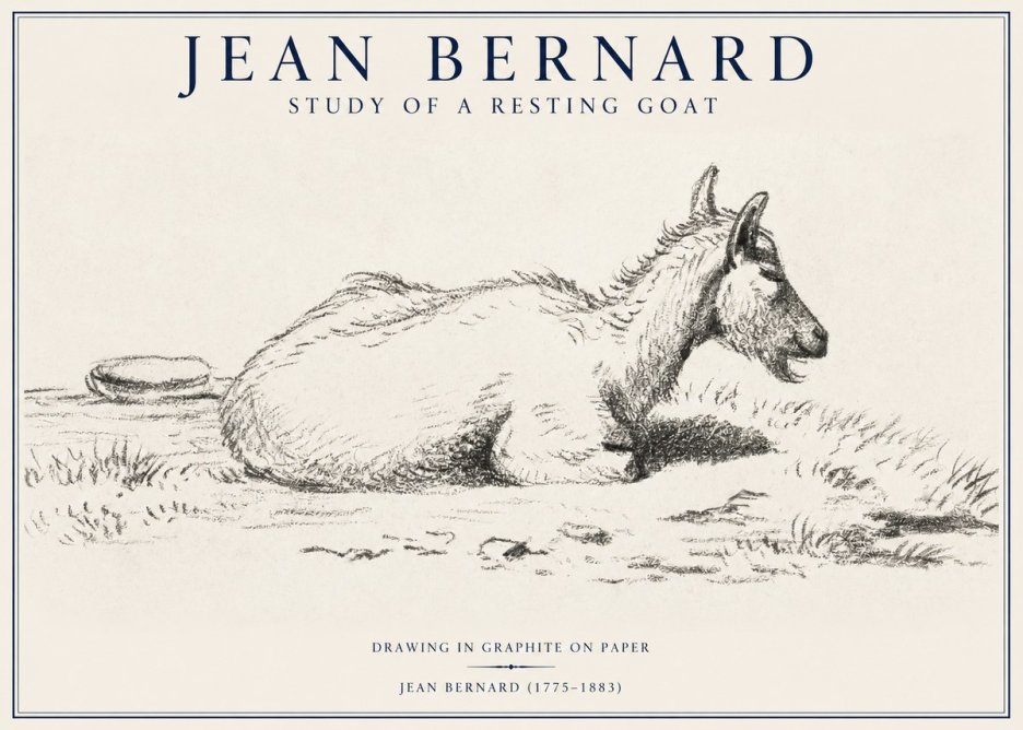 Jean Bernard Study of a Resting Goat No1 - Póster