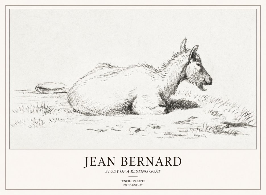 Jean Bernard Study of a Resting Goat No2 - Póster