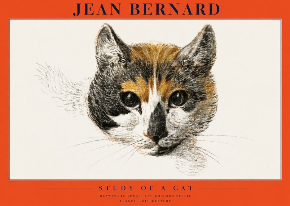 Jean Bernard Study of a Cat II No2 - Póster
