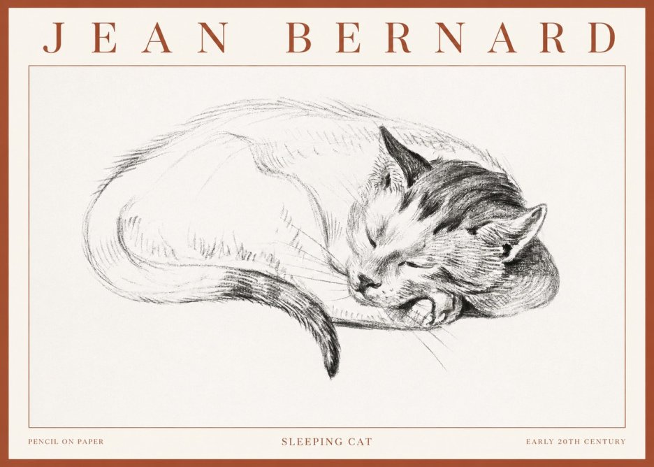 Jean Bernard Sleeping Cat IV No3 - Póster