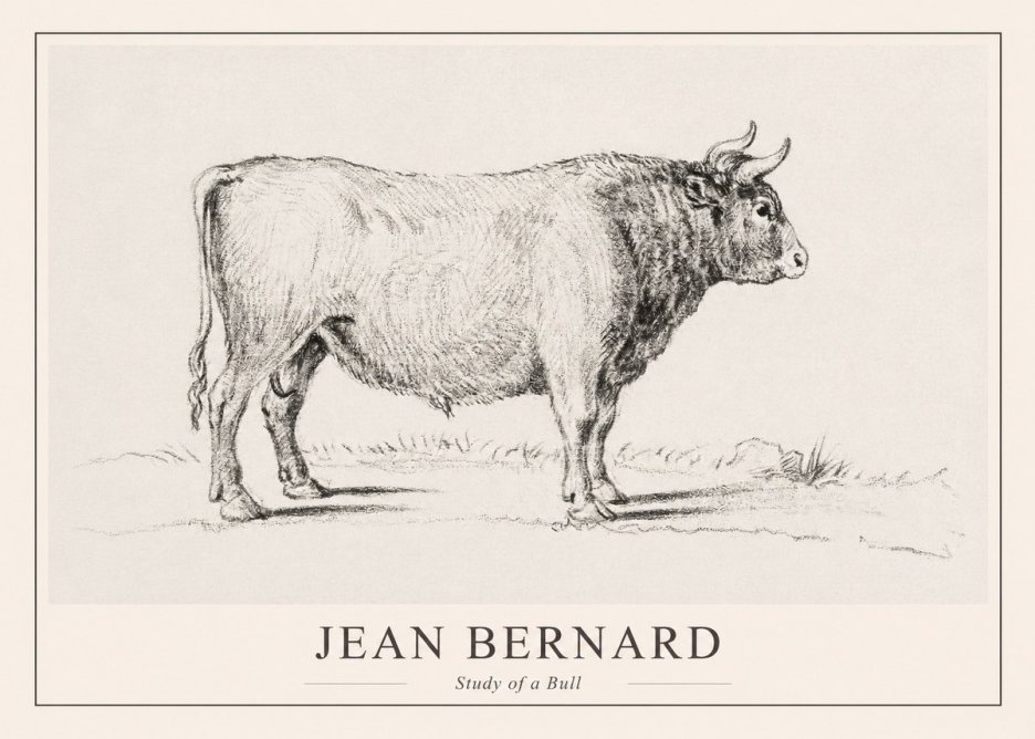 Jean Bernard Study of a Bull I No1 - Póster