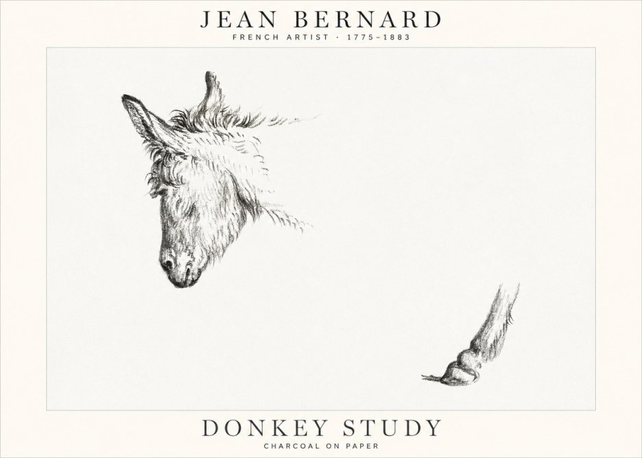 Jean Bernard Study of a Donkey II No2 - Póster