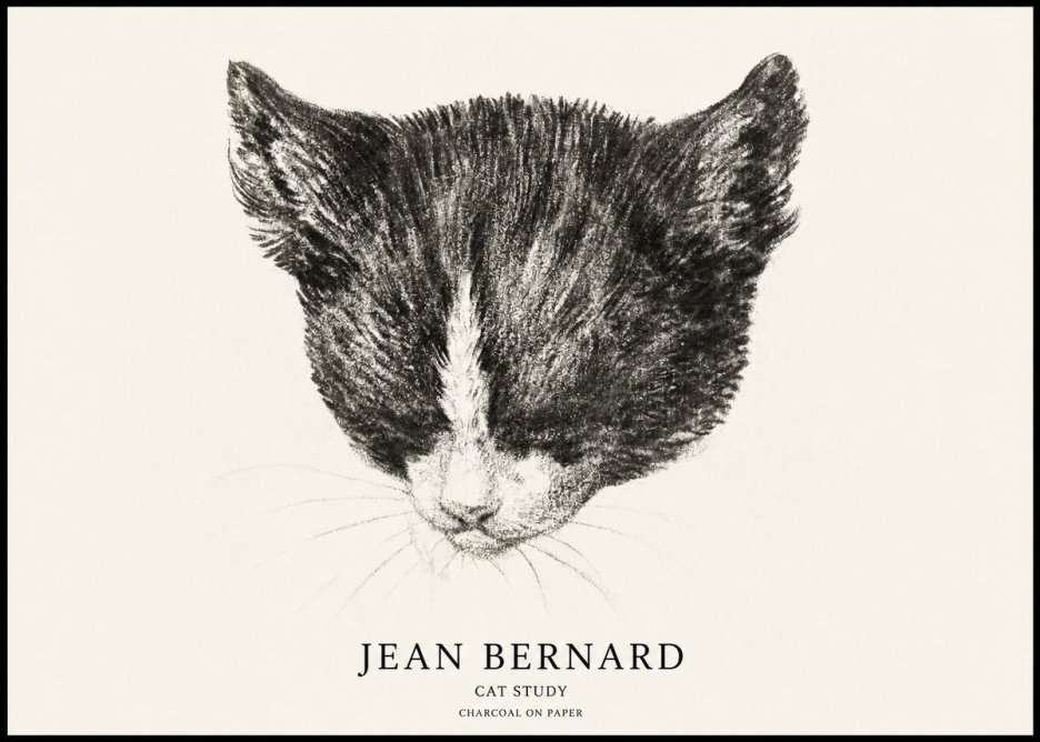 Jean Bernard Cat Study V No1 - Póster