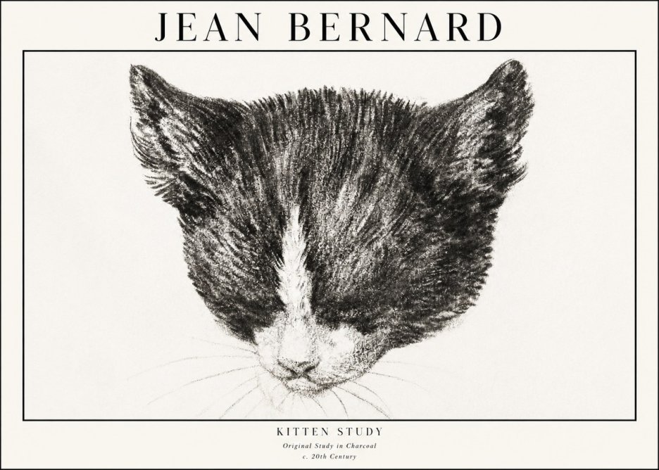 Jean Bernard Cat Study V No4 - Póster