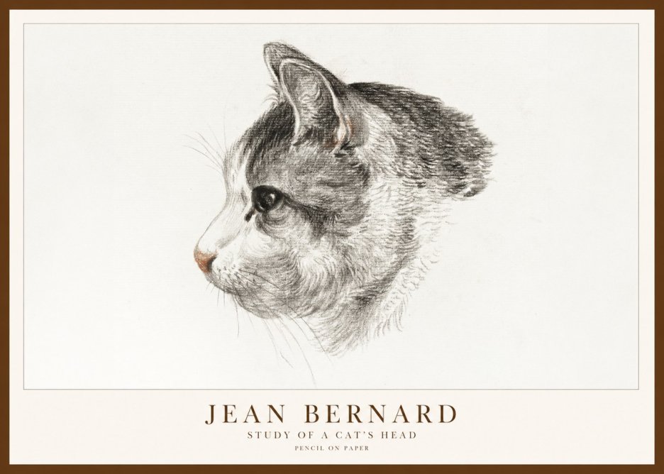 Jean Bernard Cat Study, Profile No2 - Póster