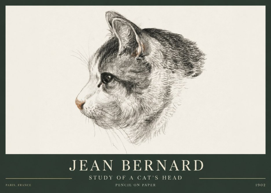 Jean Bernard Cat Study, Profile No4 - Póster