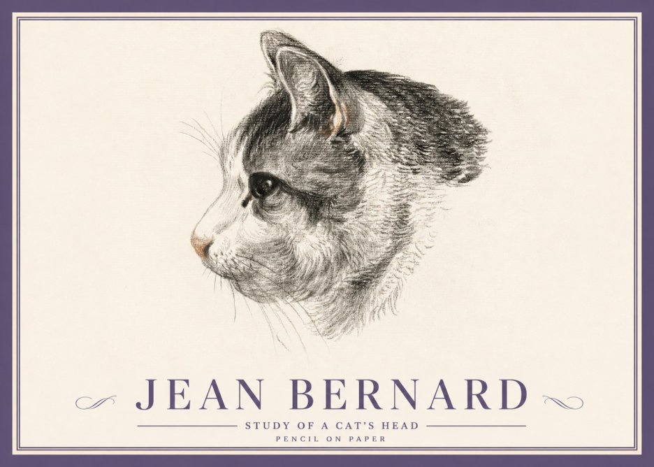 Jean Bernard Cat Study, Profile No5 - Póster