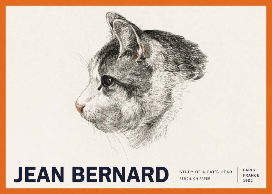Jean Bernard Cat Study, Profile No6 - Póster